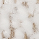 VV OFFWHITE.jpg